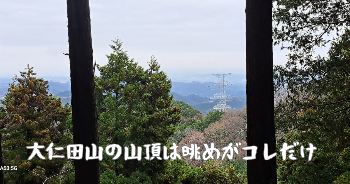 大仁田山の山頂は眺めがこれだけしかない