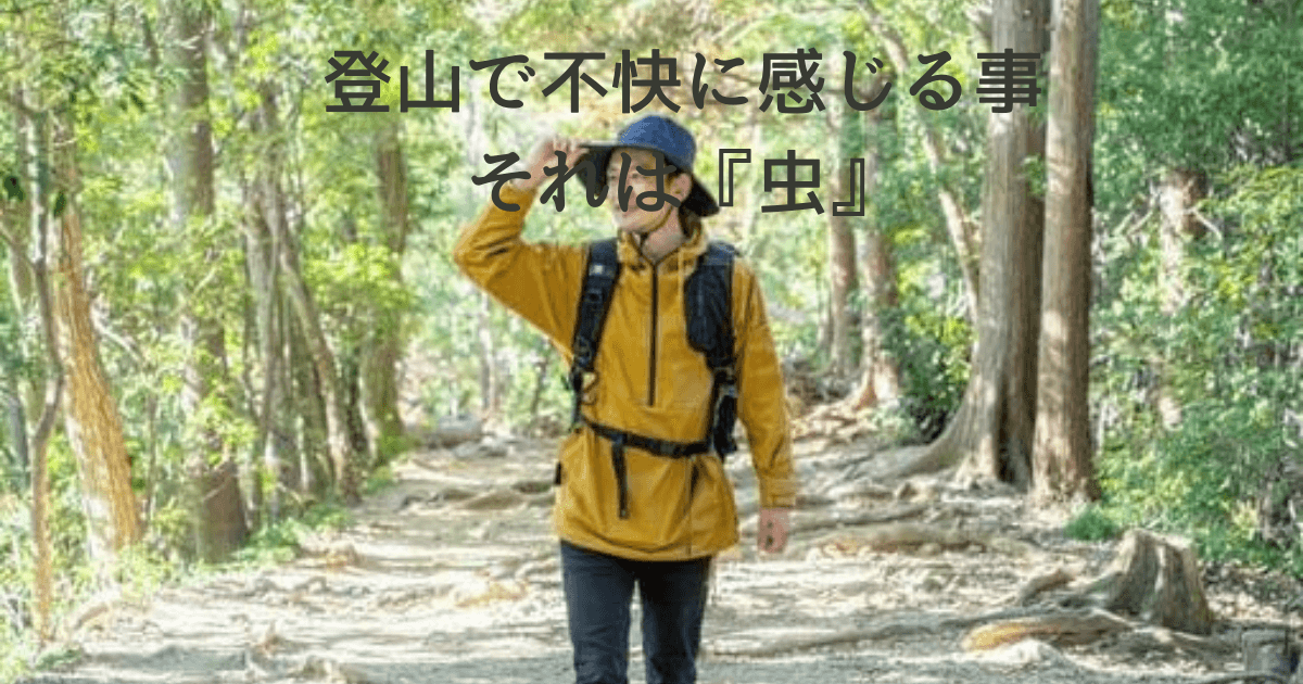 登山の深いに感じる事　それは『虫』