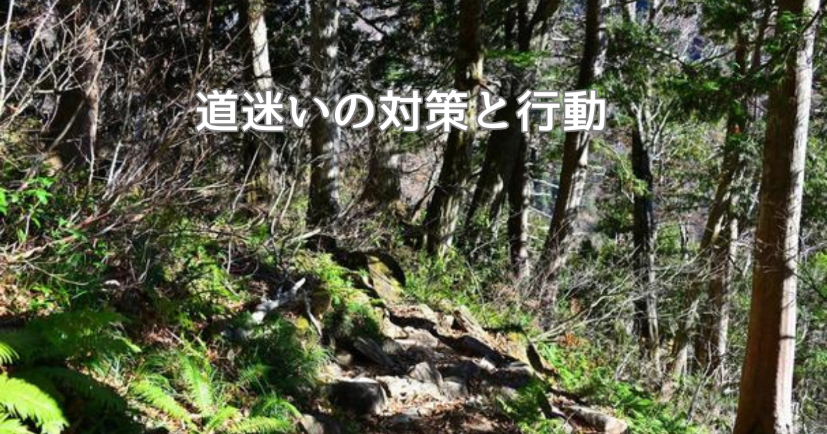 道迷い対策と行動を解説します